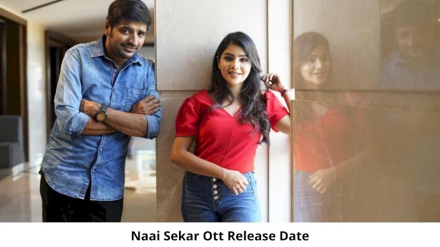 Naai Sekar Movie OTT Release Date and Time Confirmed 2022: