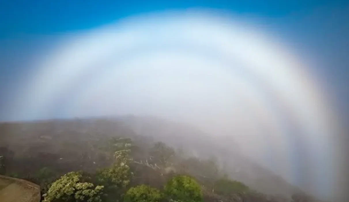Photographer Shares Picture Of Mysterious Fogbow Formation, Surprises Internet